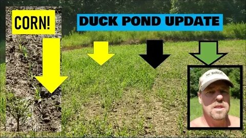 FARM VLOG, Duck pond, Corn & Milo update, Machines & more