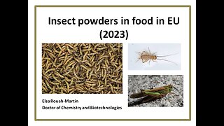 Insect powders authorized in food in EU in 2023