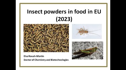 Insect powders authorized in food in EU in 2023