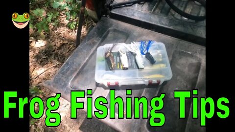 Frog Fishing Basics