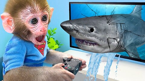 Baby monkey 🐒 playing shark game😱