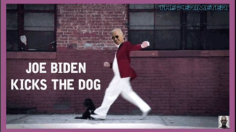 Joe Biden Kicks The Dog and The American People