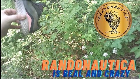 Did We Find Evidence of a Missing Person While Using Randonautica!?!