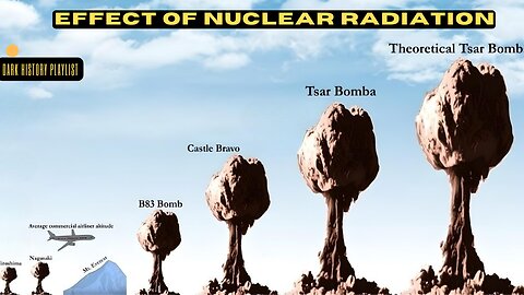 The Effects Of Radiation In Chernobyl | Nuclear disaster