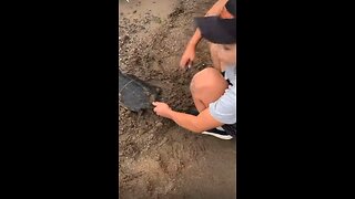 Turtle rescue