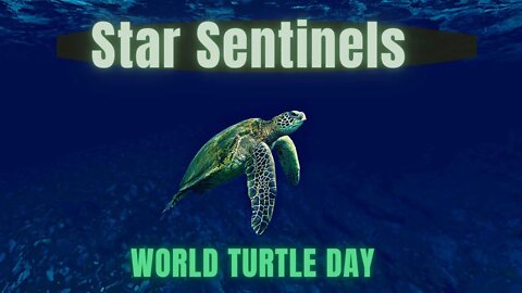 Star Sentinels ~ Galactic Center Pleiadian Energies ~ WORLD TURTLE DAY ~ Dragon Riders Have Returned