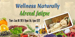 Wellness Naturally: Adrenal Fatigue