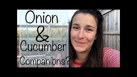 Onions and Cucumbers | Possible Companion Plants? | In The Garden Again | #garden