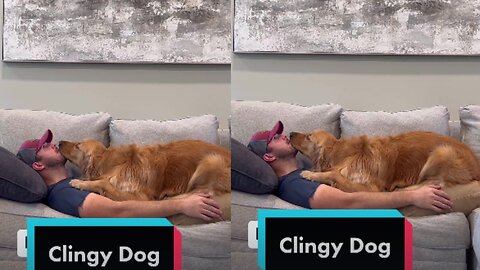 Clingy Dog: He’s my shadow, and I'm here for It