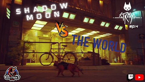 Stray Ep. 4 - ShadowMoon VS The World