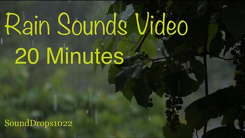 Get Refreshed With 20 Minutes Of Peace Rain Sounds Video