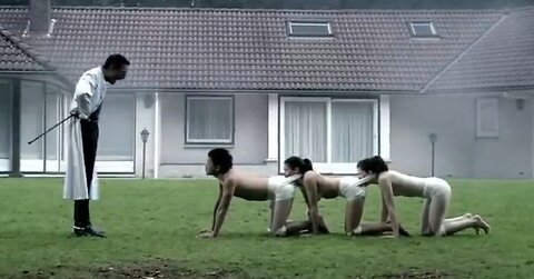 The Human Centipede movie explained