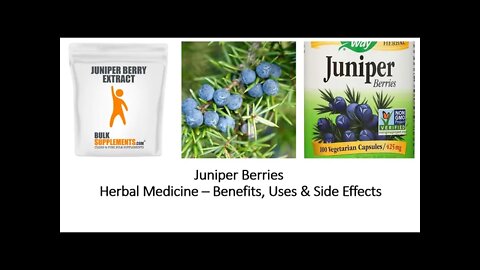 Juniper - Herbal Medicine - Benefits, Uses & Side Effects