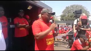 Car manufacturers importing workers while citizens are jobless, says Tshwane EFF (N8c)