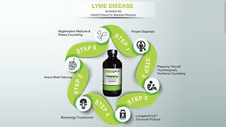 LymeplexPLUS - The 6-Step Holistic Protocol for Treating Lyme