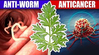 The Amazing Properties of Wormwood