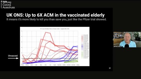 Steve Kirsch & Dr. Reiner Fuellmich - The Corona Committee