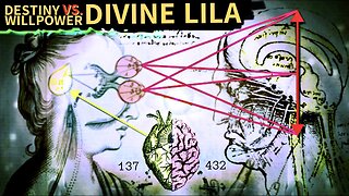 What We Call Destiny is the Free Will of Our Higher Selves. The More Things That We’re Judging, All We Will do by Judging it More …is Attracting it More! We Attract Everything We Judge Until We No Longer Judge What We Attracted.