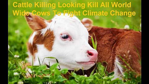 Cattle Killing Compilation Looking To Kill All World Wide Cows To Fight Climate Change
