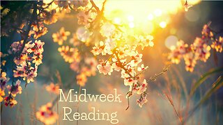 Midweek Reading ~ Oracle & Tarot ~ Self Interpretation