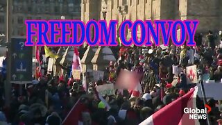 Global National 001 : Freedom Convoy