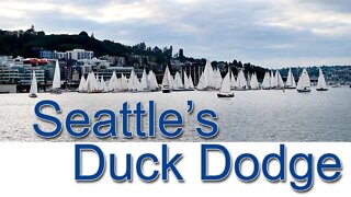 Seattle's Duck Dodge