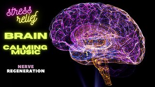 BRAIN CALMING MUSIC || Stress Relief & Nerve Regeneration || relaxing