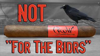 60 SECOND CIGAR REVIEW - Blackbird Crow
