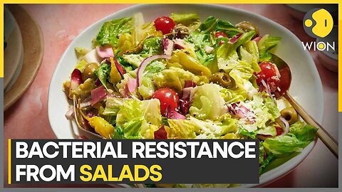 A new study says vegetable salads can create antibiotic resistance |