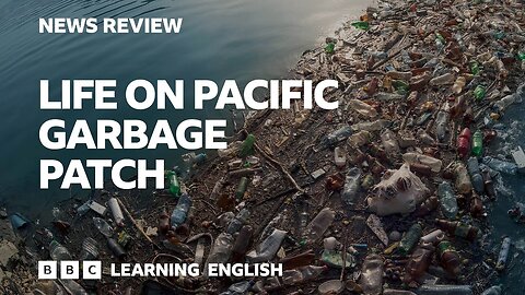 Life on Pacific garbage patch: BBC News Review
