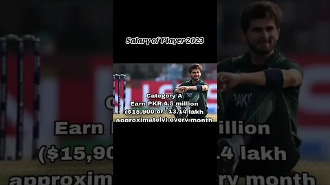 Pakistan Cricketer Salary 2023 #babarazam #shadabkhan #harisrauf #shaheenafridi #fakharzaman