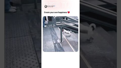 Witness the pure bliss of a solo ball game on subway stairs!