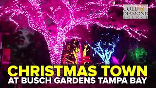 Celebrate Christmas Town at Busch Gardens Tampa Bay | Taste and See Tampa Bay