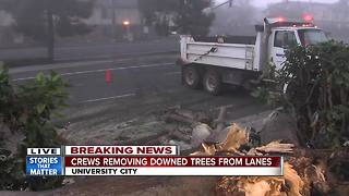 Crews called in to remove trees that fell on University City roadway