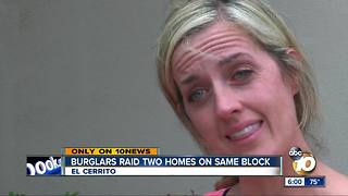 Burglars raid two homes on same block