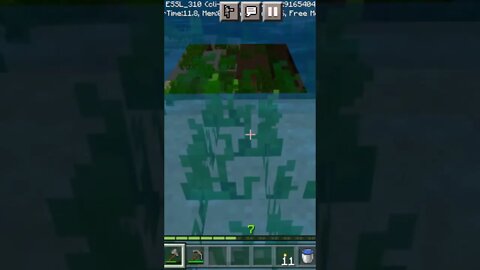 Top glitch of Minecraft 😱 || #shorts #minecraftpe