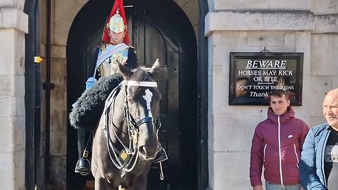 Heed the warning the horse is not in the mood #horseguardsparade