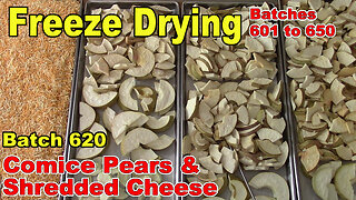 Batch 620 - Freeze Drying Comice Pears and Shredded Cheese