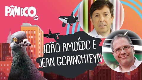 JOÃO AMOÊDO E DR. JEAN GORINCHTEYN | PÂNICO - AO VIVO - 28/04/20