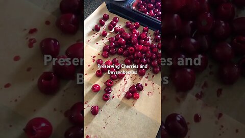 Preserving Cherries and Boysenberries #homestead #backyardfarming