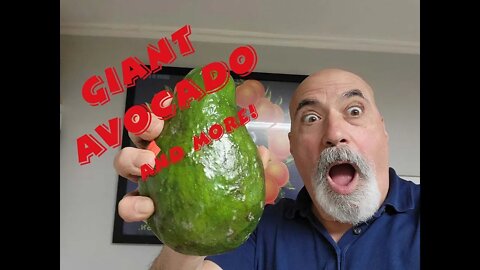Giant Avocados, Juicy Pumellos and more at Burlingame Farmers Market!