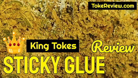 King Toke's Review of the Sticky Glue marijuana strain