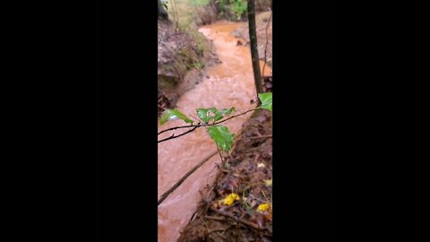 Rain Hike, Muddy Brooks and Streams, Part 1 of 2