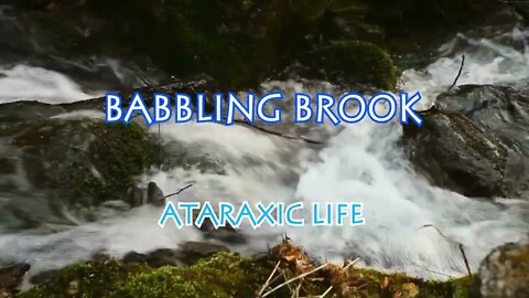 1 Hour of Babbling Brook White Noise - Great for Sleeping, Studying, and More!
