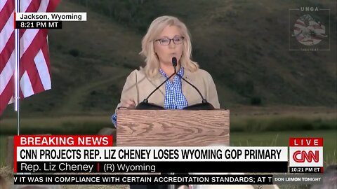 Liz Cheney Compares Herself to Abraham Lincoln After Badly Losing Primary Election