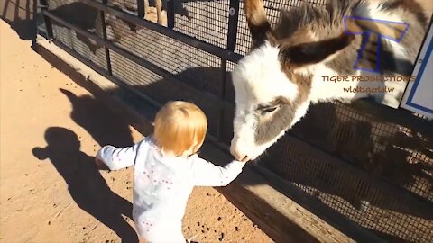 Funny Kids vs Zoo Animals