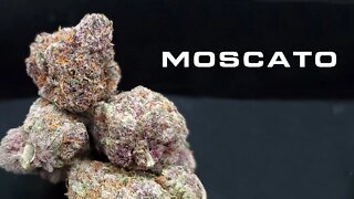 Moscato Strain Review