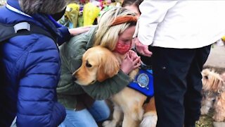 Ft. Collins' therapy dogs and their handlers comfort Boulder mass shooting survivors