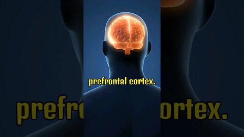 Boost your brainpower with prefrontal cortex exercise #shorts