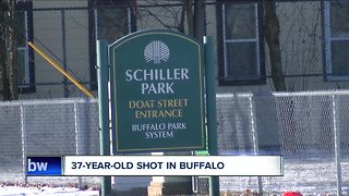 Shooting in Buffalo early Sunday morning